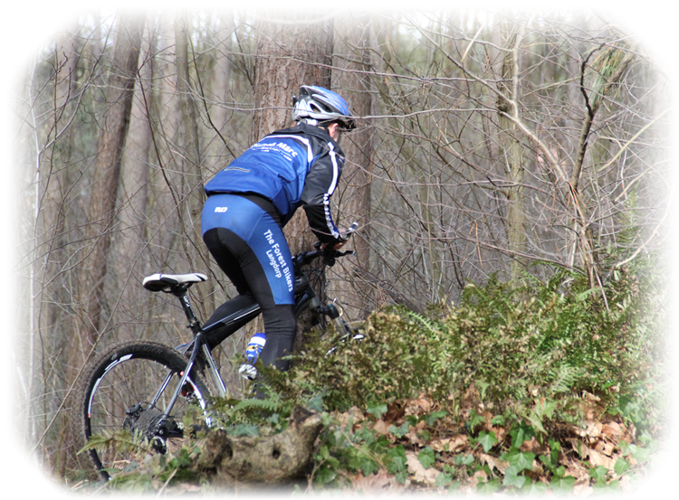 Forestbiker