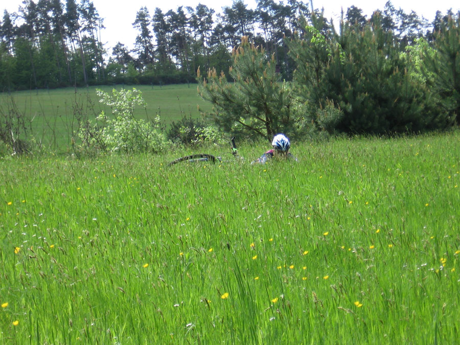 Niederkail 2013 (051)